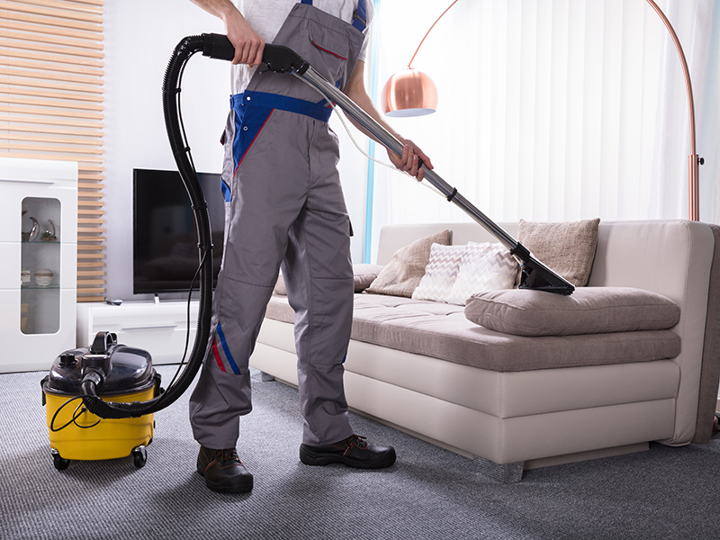 Vacuum cleaning sofa